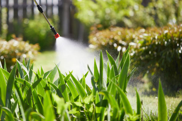 24/7 Emergency Mosquito Control experts in Ocean View, DE