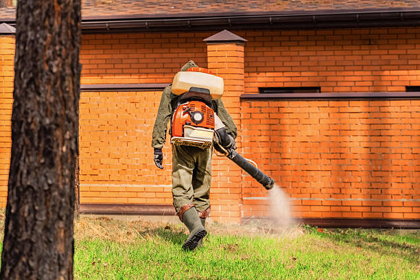 Top rated local Mosquito Control specialists in Ocean View, DE